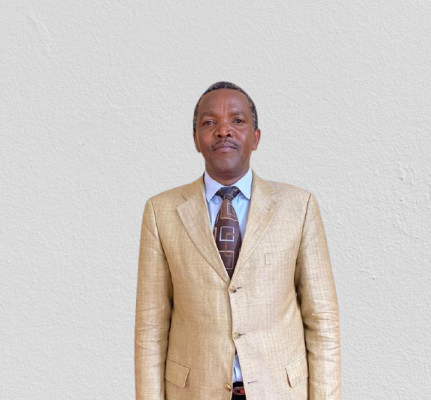Board Member